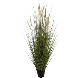 GRASS W/CATTAIL IN POT 152 CM GREEN