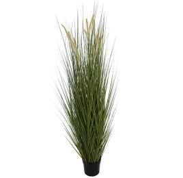 GRASS W/CATTAIL IN POT 183 CM GREEN