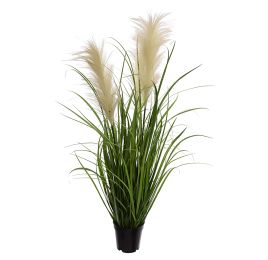GRASS W/LARGE PLUM IN POT 110 CM GREEN
