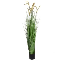 GRASS W/PLUM 120CM GREEN
