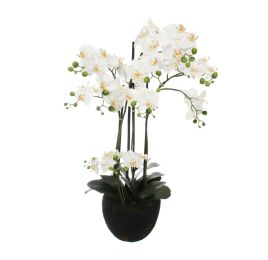ORCHID X 14 ON SOIL BASE 90CM CREAM
