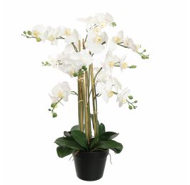 ORCHID X9 IN POT 75CM WHITE