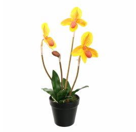 SLIPPER ORCHID IN POT 48CM YELLOW