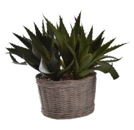 SMALL AGAVE BASKET 24X25CM GREEN