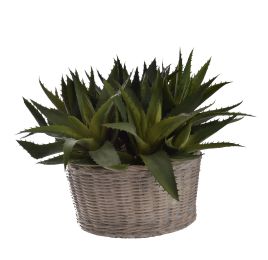 LARGE AGAVE BASKET 25X35CM GREEN