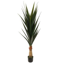 AGAVE PLANT 145CM GREEN