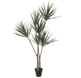YUCCA PLANT 180CM GREEN