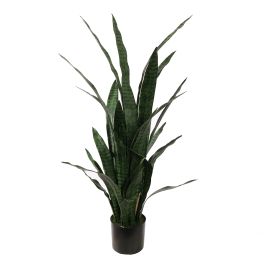 SANSEVERIA IN POT 120CM GREEN