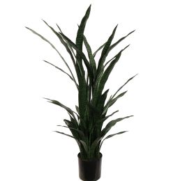 SANSEVERIA IN POT 140CM GREEN
