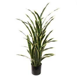 SANSEVERIA IN POT 140CM GREEN YELLOW
