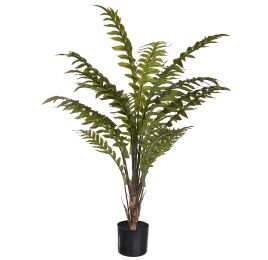 FOOT FERN PLANT IN POT 110CM GREEN