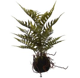 MOSS BASE FERN 35CM GREEN
