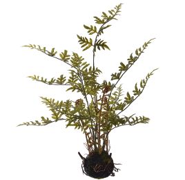 MOSS BASE FERN 45CM GREEN
