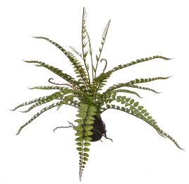 FERN ON MUD BASE H48 D57CM GREEN