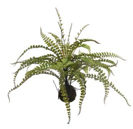 FERN ON MUD BASE H56 D80CM GREEN