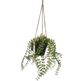 MINI HANGING LVS IN POT 30CM GREEN