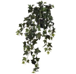 HANGING BUSH IN POT 60CM ENGLISH