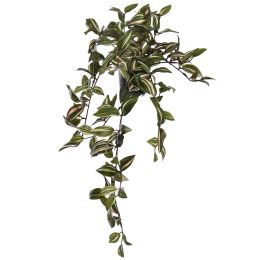 HANGING BUSH IN POT 60CM WANDERING