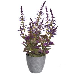 LAVENDER IN GREY POT 50CM LAVENDER