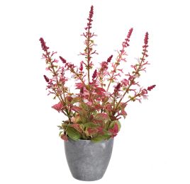 LAVENDER IN GREY POT 50CM PINK