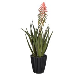ALOE WITH FLOWER IN POT 42CM ORANGE 