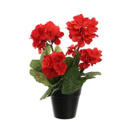 GERANIUM IN POT 31CM RED