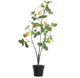 LEMON PLANT IN POT 105CM YELLOW 
