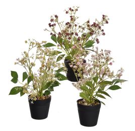 GYPSO IN POT 28CM ASSORTED