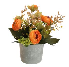 RANUNCULUS IN POT 17CM ORANGE