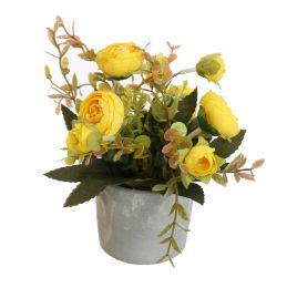 RANUNCULUS IN POT 17CM YELLOW