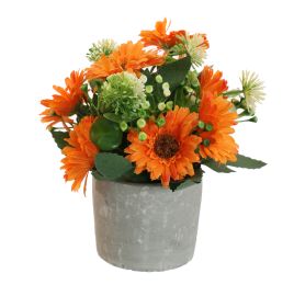 GERBERA IN POT 17CM ORANGE
