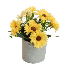 GERBERA IN POT 17CM YELLOW