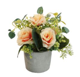 ROSE IN POT 17CM SALMON