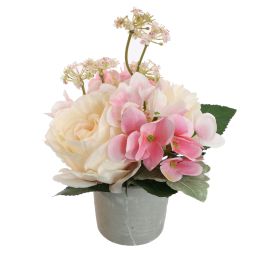 ROSE HYDRANGEA IN POT 20CM PINK