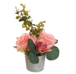 ROSE CYMBIDIUM IN POT 20CM PEACH