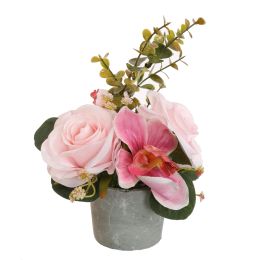 ROSE CYMBIDIUM IN POT 20CM PINK