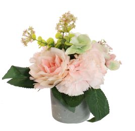 ROSE CARNATION IN POT 17CM PEACH