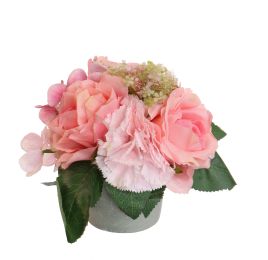 ROSE CARNATION IN POT 17CM PINK