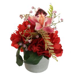 PEONY IN POT 20CM BEAUTY