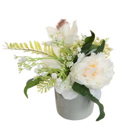 PEONY IN POT 20CM CREAM