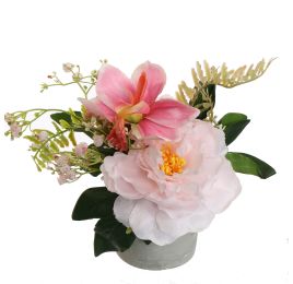 PEONY IN POT 20CM PINK