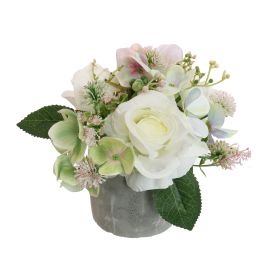ROSE THISTLE IN POT 18CM CREAM