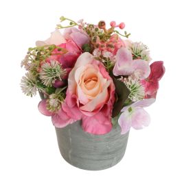 ROSE THISTLE IN POT 18CM PINK