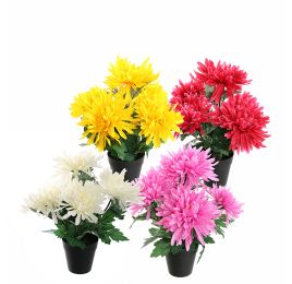 MUM BUSH IN POT 30CM ASSORTED