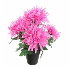 MUM BUSH IN POT 30CM LAVENDER