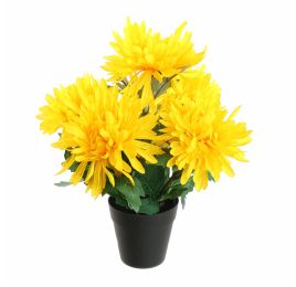 MUM BUSH IN POT 30CM YELLOW