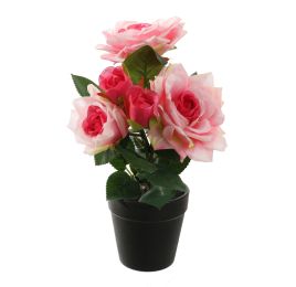 ROSES IN POT 30CM PINK