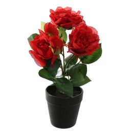 ROSES IN POT 30CM RED