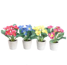 VIOLET IN POT 24CM ASSORTED