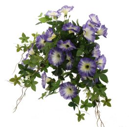 HANGING MORNING GLORY IN POT 66CM BLUE